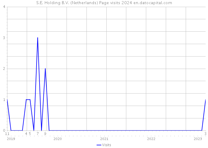 S.E. Holding B.V. (Netherlands) Page visits 2024 