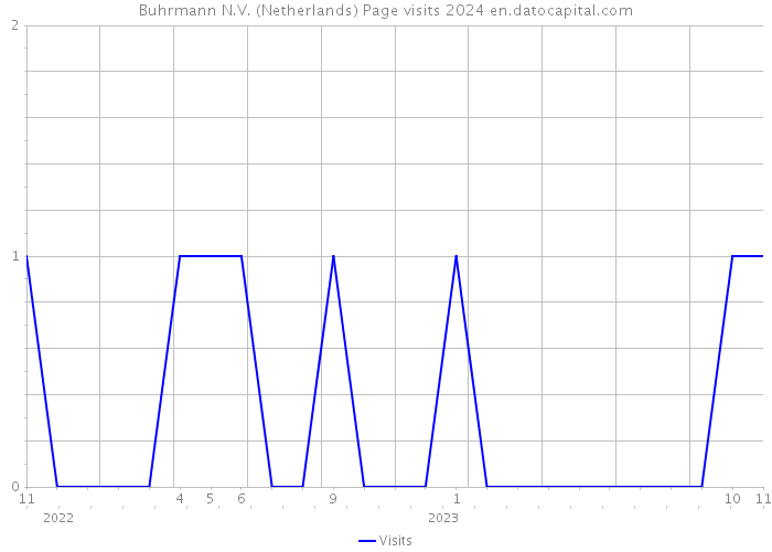 Buhrmann N.V. (Netherlands) Page visits 2024 