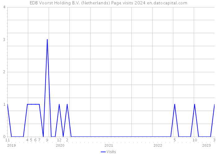 EDB Voorst Holding B.V. (Netherlands) Page visits 2024 
