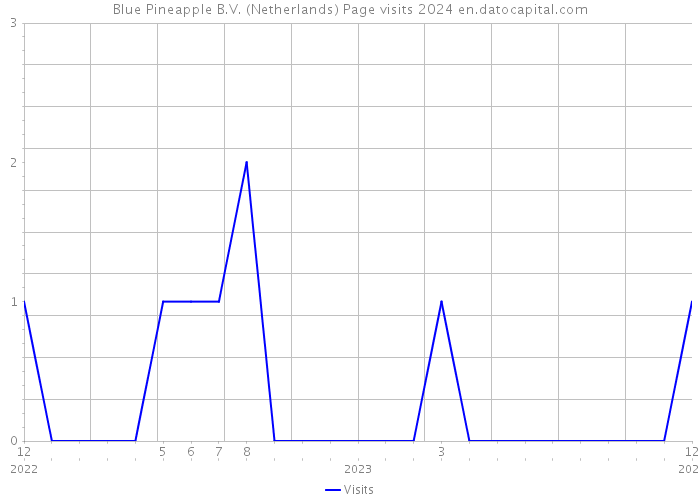 Blue Pineapple B.V. (Netherlands) Page visits 2024 