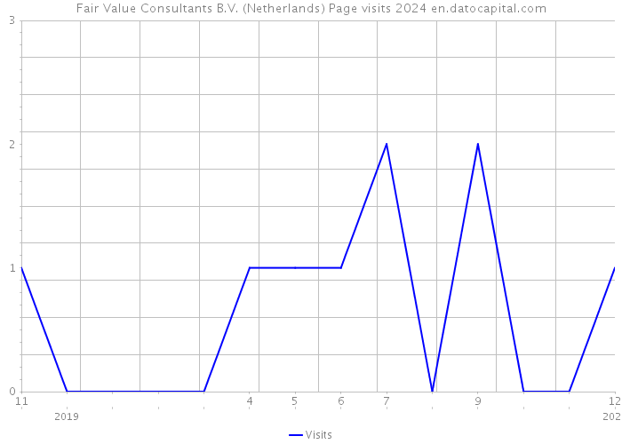 Fair Value Consultants B.V. (Netherlands) Page visits 2024 
