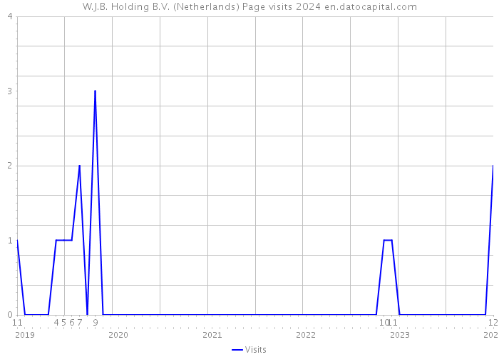 W.J.B. Holding B.V. (Netherlands) Page visits 2024 