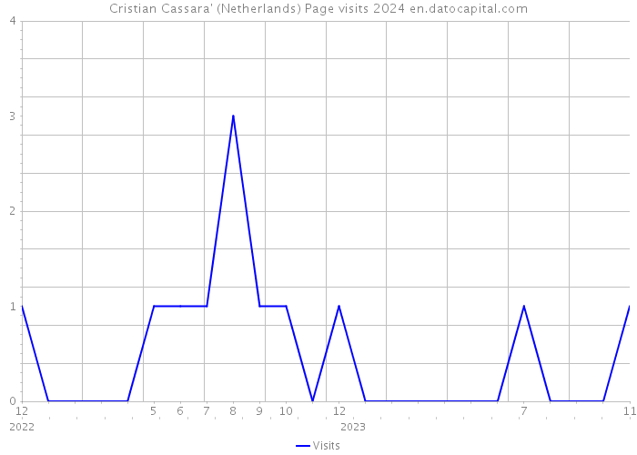 Cristian Cassara' (Netherlands) Page visits 2024 