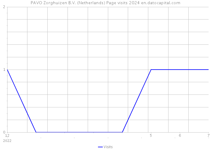 PAVO Zorghuizen B.V. (Netherlands) Page visits 2024 