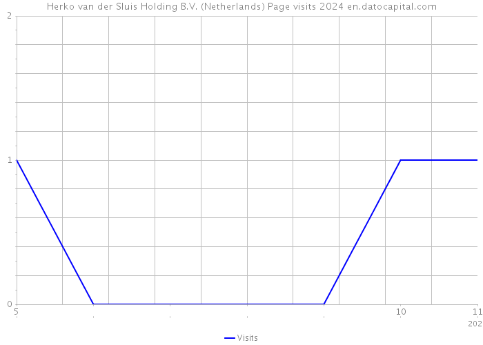 Herko van der Sluis Holding B.V. (Netherlands) Page visits 2024 