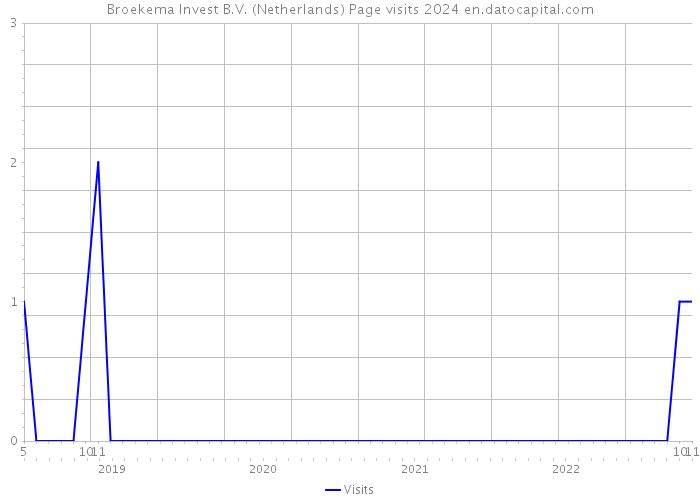 Broekema Invest B.V. (Netherlands) Page visits 2024 