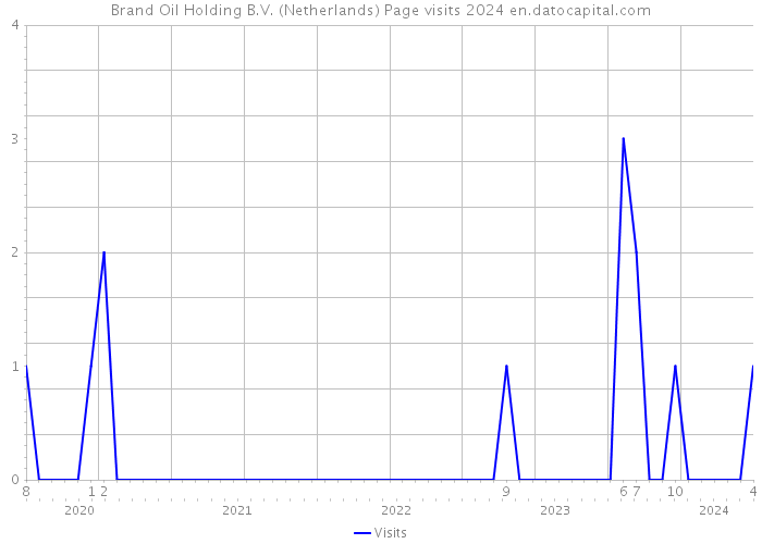 Brand Oil Holding B.V. (Netherlands) Page visits 2024 