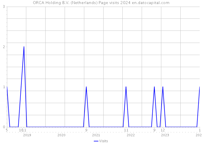 ORCA Holding B.V. (Netherlands) Page visits 2024 