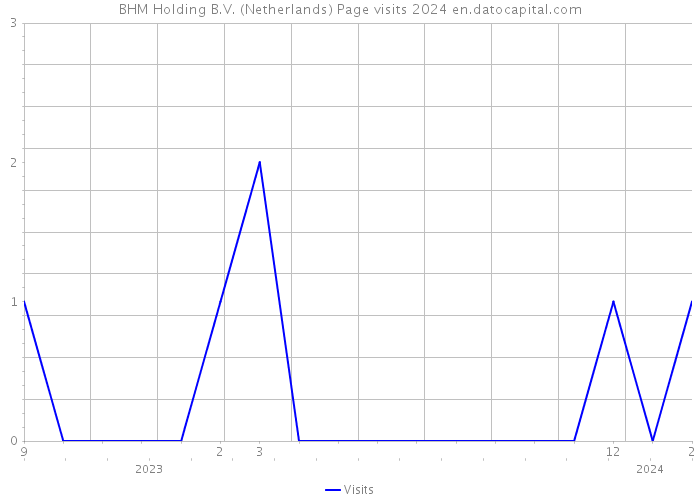 BHM Holding B.V. (Netherlands) Page visits 2024 