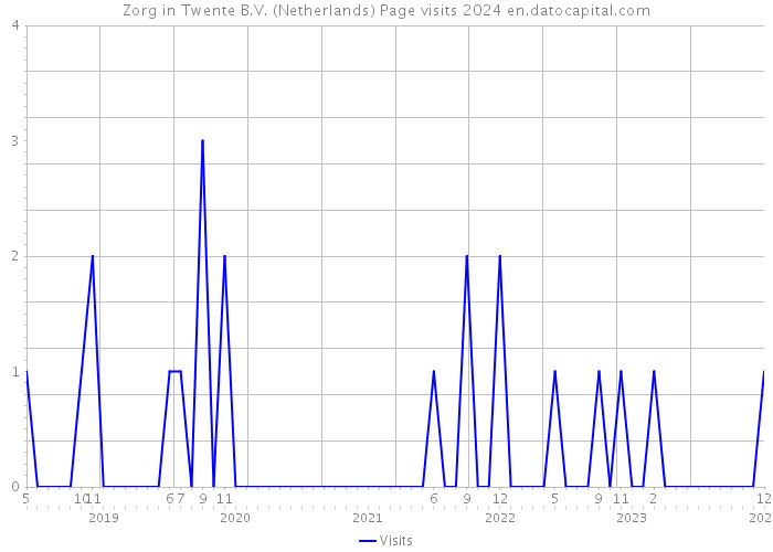 Zorg in Twente B.V. (Netherlands) Page visits 2024 
