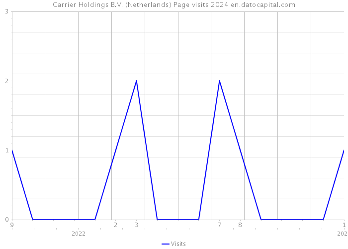 Carrier Holdings B.V. (Netherlands) Page visits 2024 