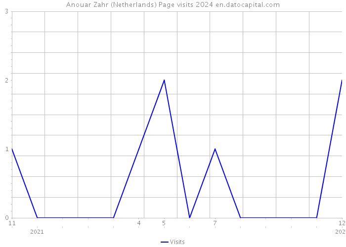 Anouar Zahr (Netherlands) Page visits 2024 