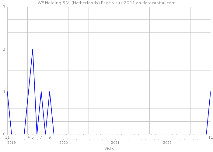 WE Holding B.V. (Netherlands) Page visits 2024 