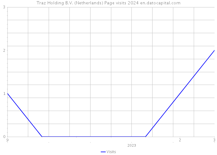 Traz Holding B.V. (Netherlands) Page visits 2024 