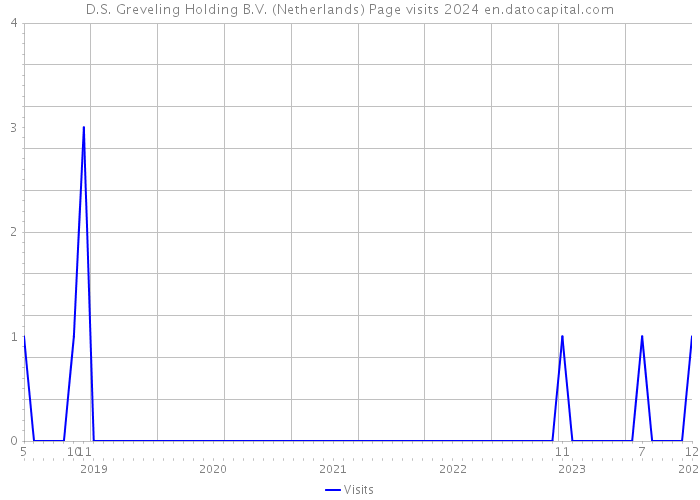 D.S. Greveling Holding B.V. (Netherlands) Page visits 2024 
