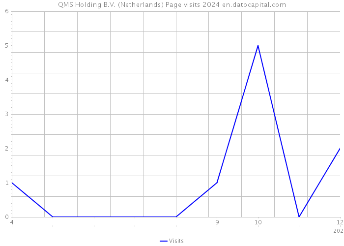 QMS Holding B.V. (Netherlands) Page visits 2024 