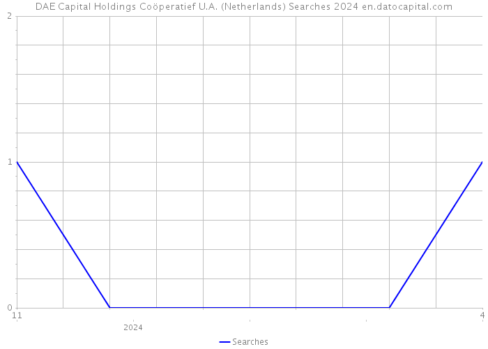 DAE Capital Holdings Coöperatief U.A. (Netherlands) Searches 2024 