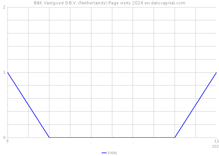 B&K Vastgoed 9 B.V. (Netherlands) Page visits 2024 