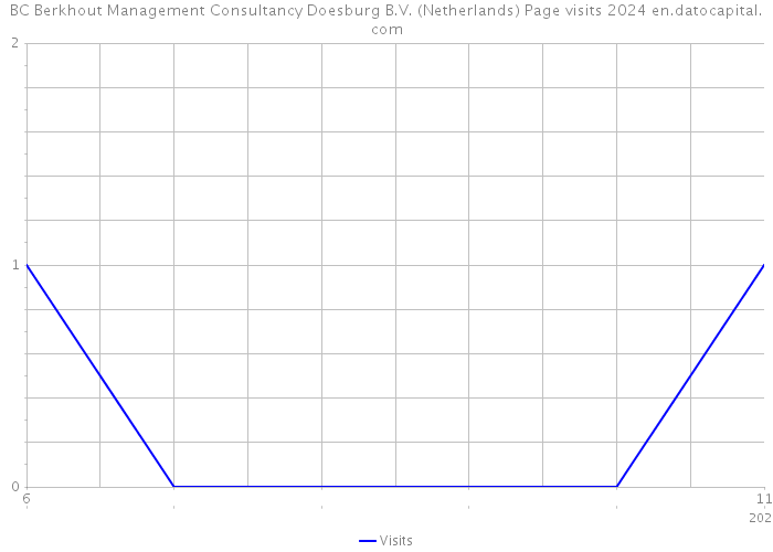 BC Berkhout Management Consultancy Doesburg B.V. (Netherlands) Page visits 2024 