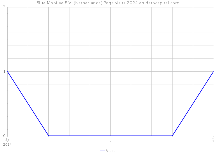 Blue Mobilae B.V. (Netherlands) Page visits 2024 