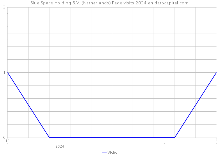 Blue Space Holding B.V. (Netherlands) Page visits 2024 