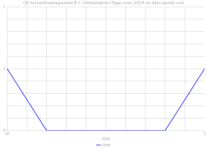CB Verzuimmanagement B.V. (Netherlands) Page visits 2024 