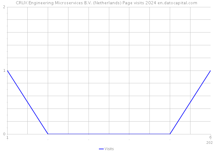 CRUX Engineering Microservices B.V. (Netherlands) Page visits 2024 