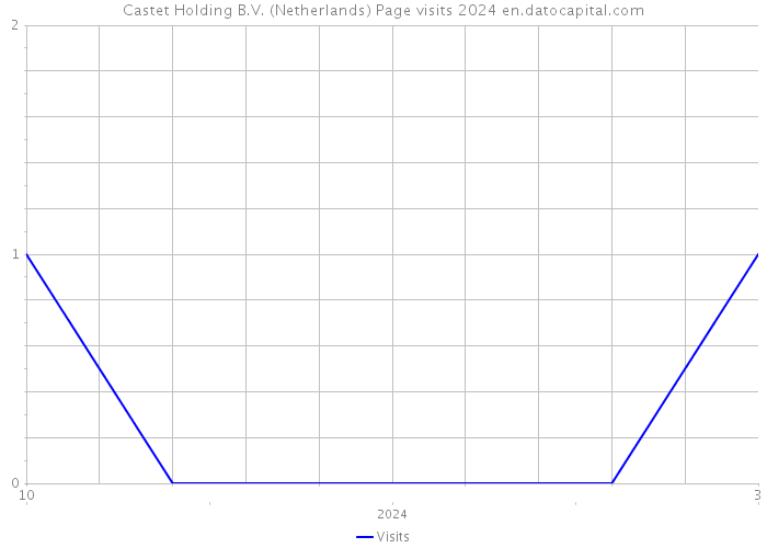Castet Holding B.V. (Netherlands) Page visits 2024 