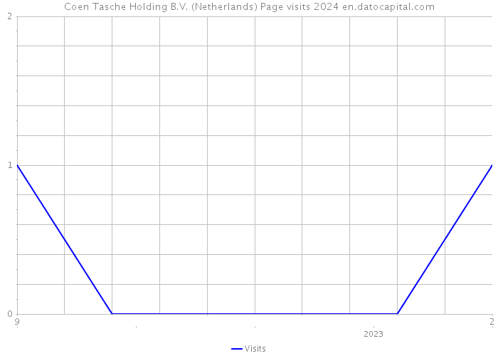 Coen Tasche Holding B.V. (Netherlands) Page visits 2024 