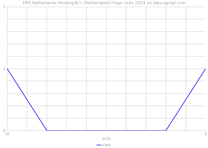 DRS Netherlands Holding B.V. (Netherlands) Page visits 2024 