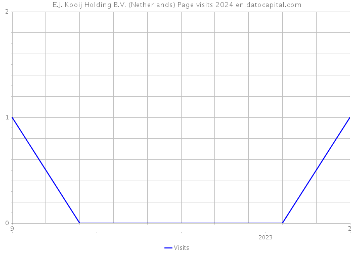 E.J. Kooij Holding B.V. (Netherlands) Page visits 2024 