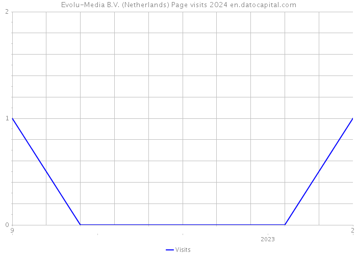 Evolu-Media B.V. (Netherlands) Page visits 2024 