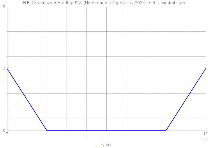 H.F. Groenewold Holding B.V. (Netherlands) Page visits 2024 