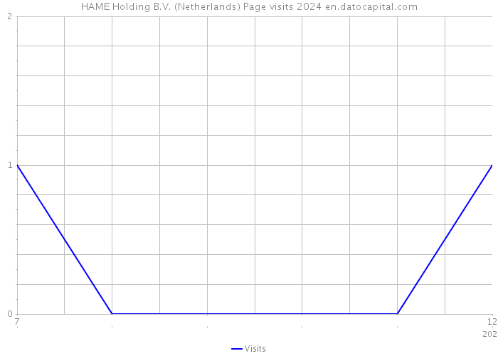 HAME Holding B.V. (Netherlands) Page visits 2024 
