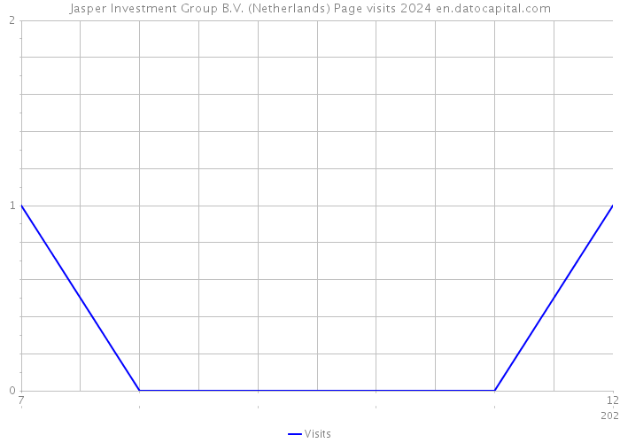 Jasper Investment Group B.V. (Netherlands) Page visits 2024 