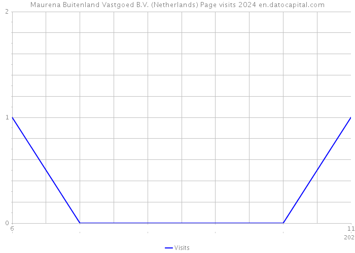 Maurena Buitenland Vastgoed B.V. (Netherlands) Page visits 2024 