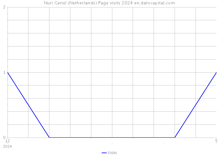Nuri Genel (Netherlands) Page visits 2024 