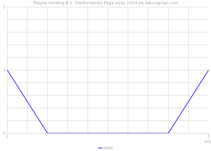 Pleune Holding B.V. (Netherlands) Page visits 2024 