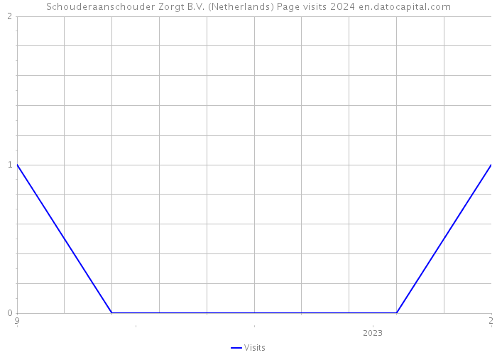 Schouderaanschouder Zorgt B.V. (Netherlands) Page visits 2024 