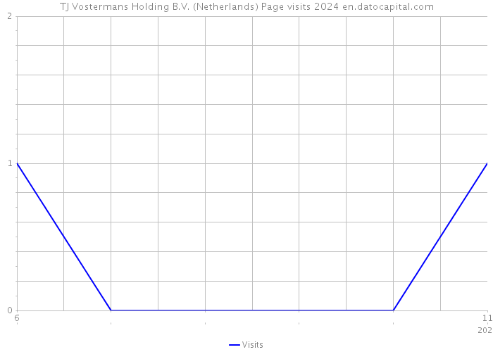 TJ Vostermans Holding B.V. (Netherlands) Page visits 2024 