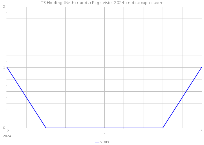 TS Holding (Netherlands) Page visits 2024 