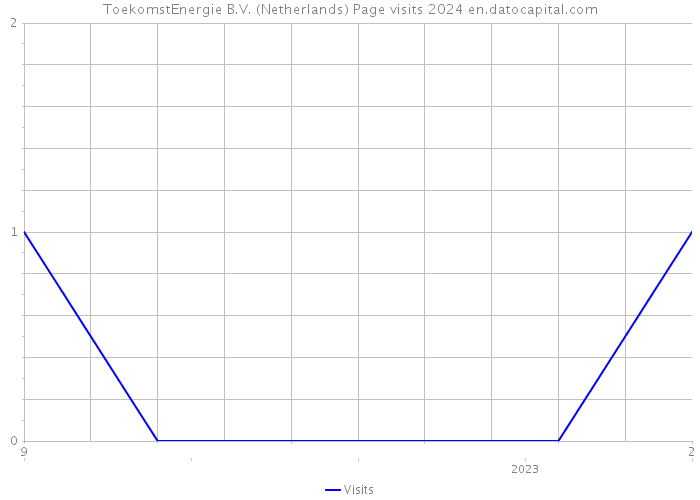 ToekomstEnergie B.V. (Netherlands) Page visits 2024 