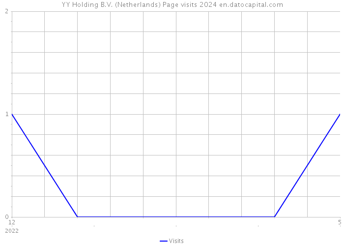 YY Holding B.V. (Netherlands) Page visits 2024 