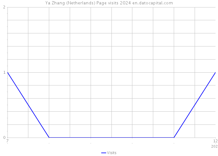Ya Zhang (Netherlands) Page visits 2024 