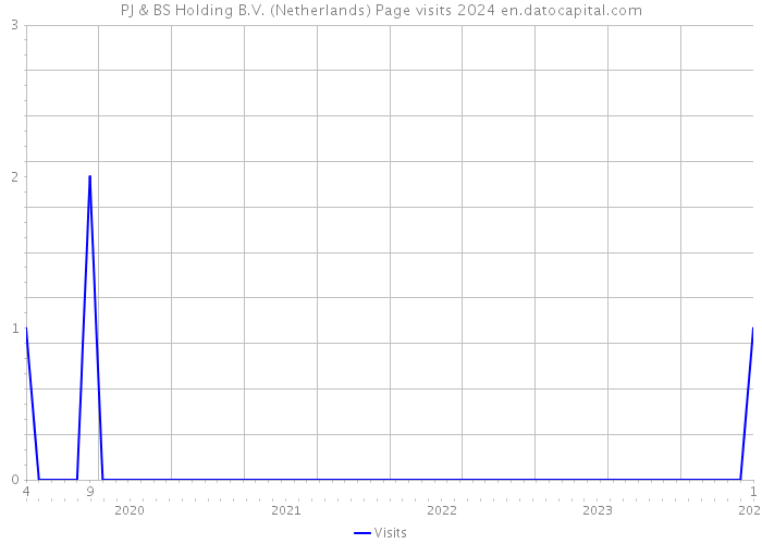 PJ & BS Holding B.V. (Netherlands) Page visits 2024 