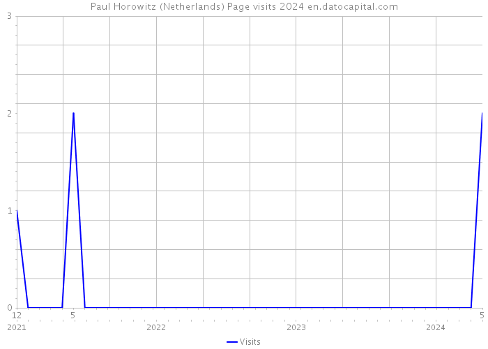 Paul Horowitz (Netherlands) Page visits 2024 