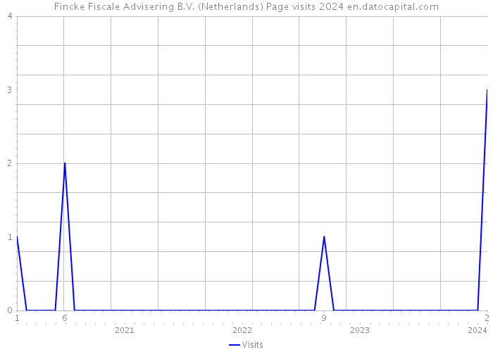 Fincke Fiscale Advisering B.V. (Netherlands) Page visits 2024 