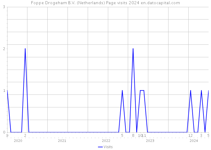 Foppe Drogeham B.V. (Netherlands) Page visits 2024 
