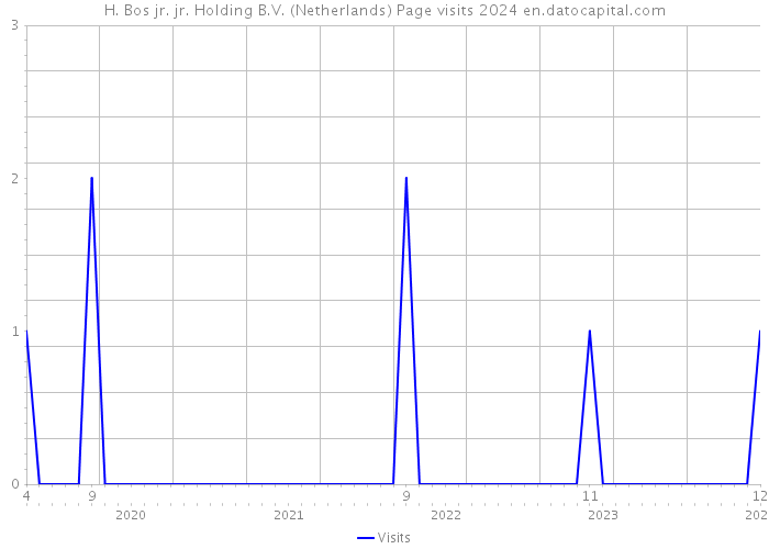 H. Bos jr. jr. Holding B.V. (Netherlands) Page visits 2024 