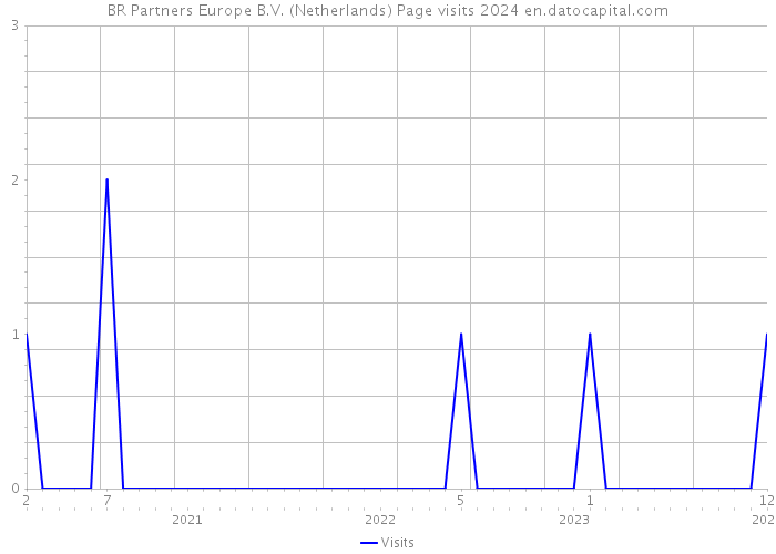 BR Partners Europe B.V. (Netherlands) Page visits 2024 